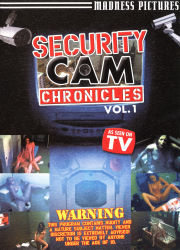Security Cam Chronicles