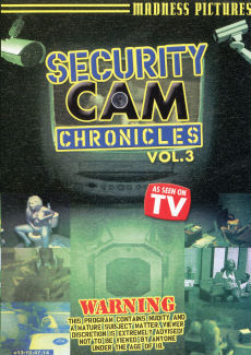 Security Cam Chronicles 3
