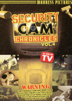 Security Cam Chronicles 4