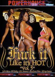 Fuck It Like It's Hot 3